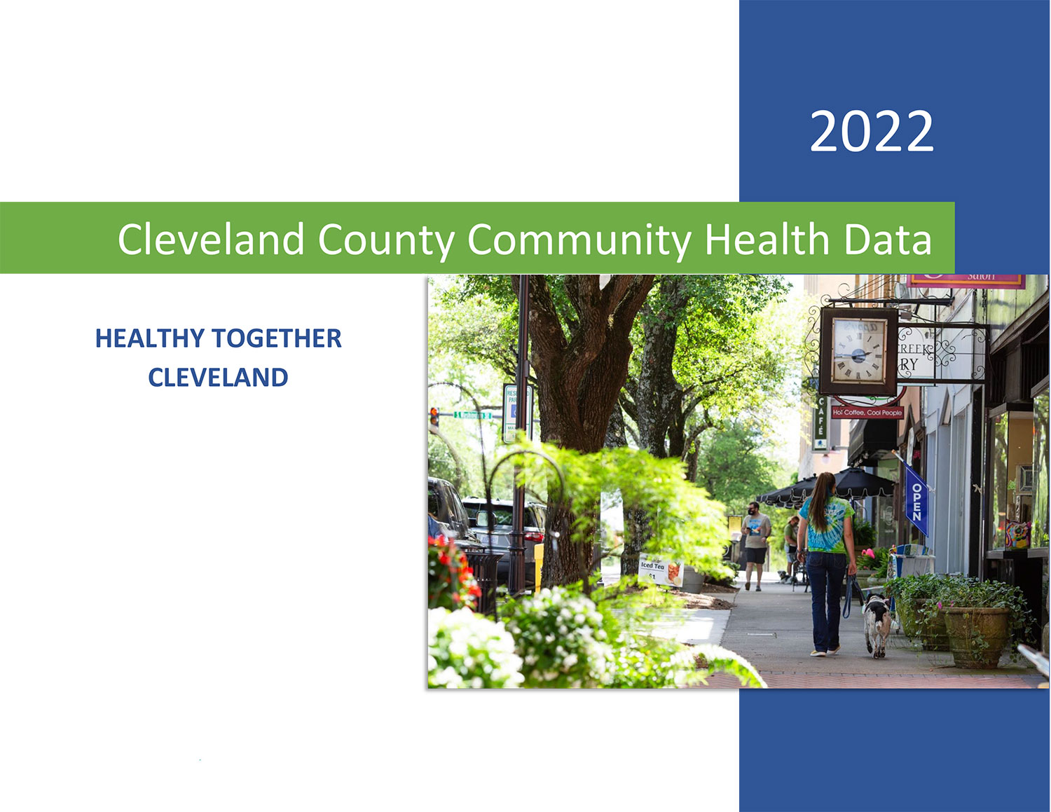 cleveland-county-community-health-data
